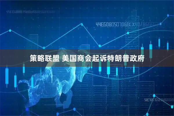 策略联盟 美国商会起诉特朗普政府