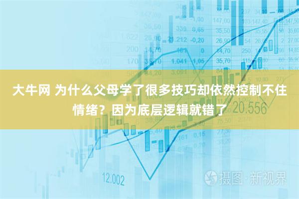 大牛网 为什么父母学了很多技巧却依然控制不住情绪？因为底层逻辑就错了